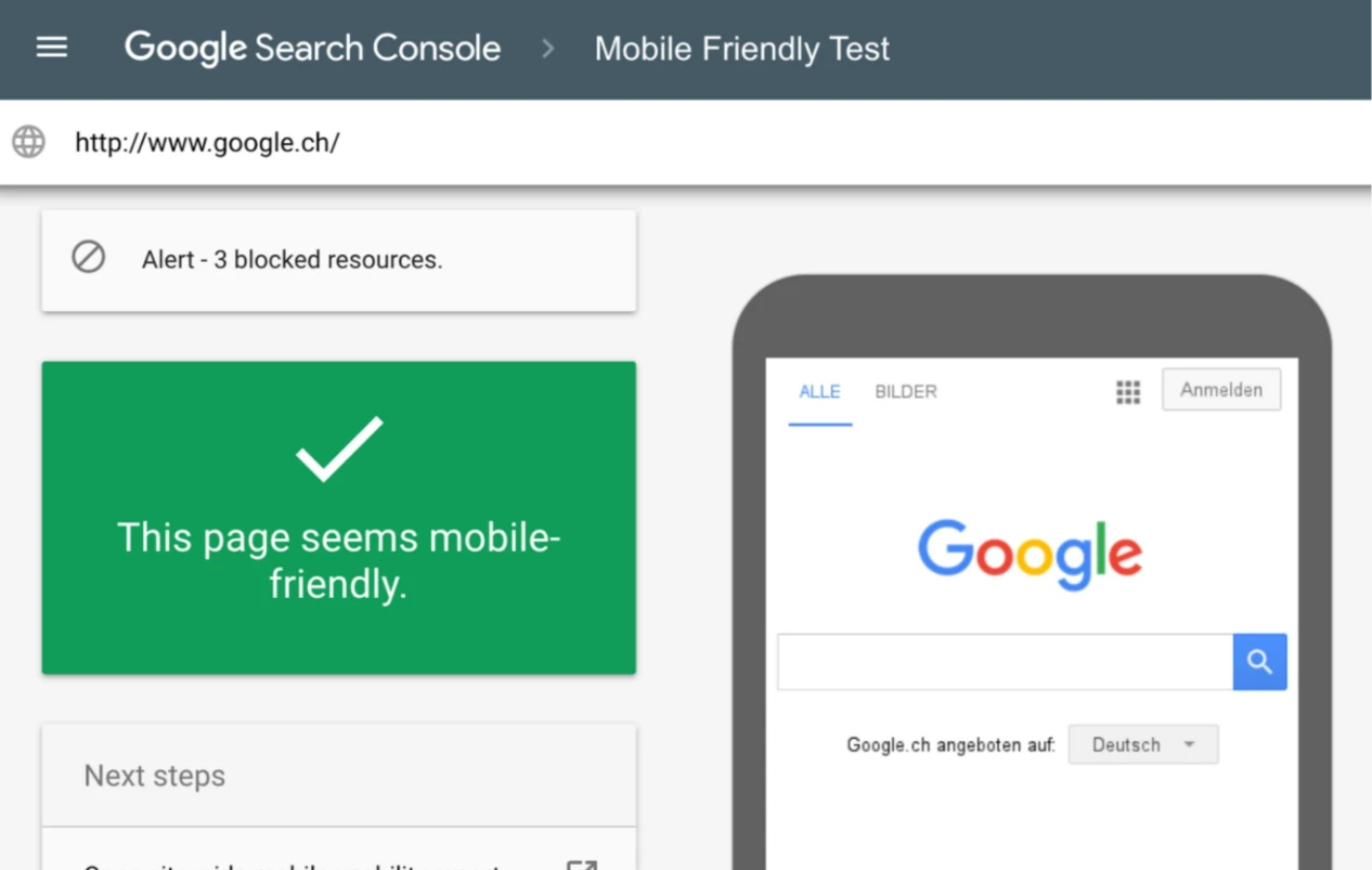 Google Search Console Mobile-Friendly Test Panel