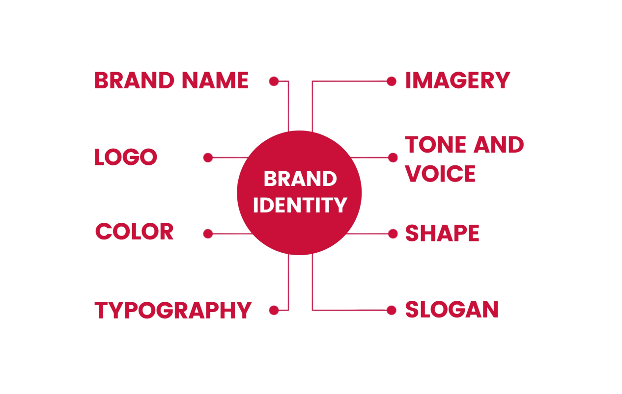 Brand Identity Infographic
